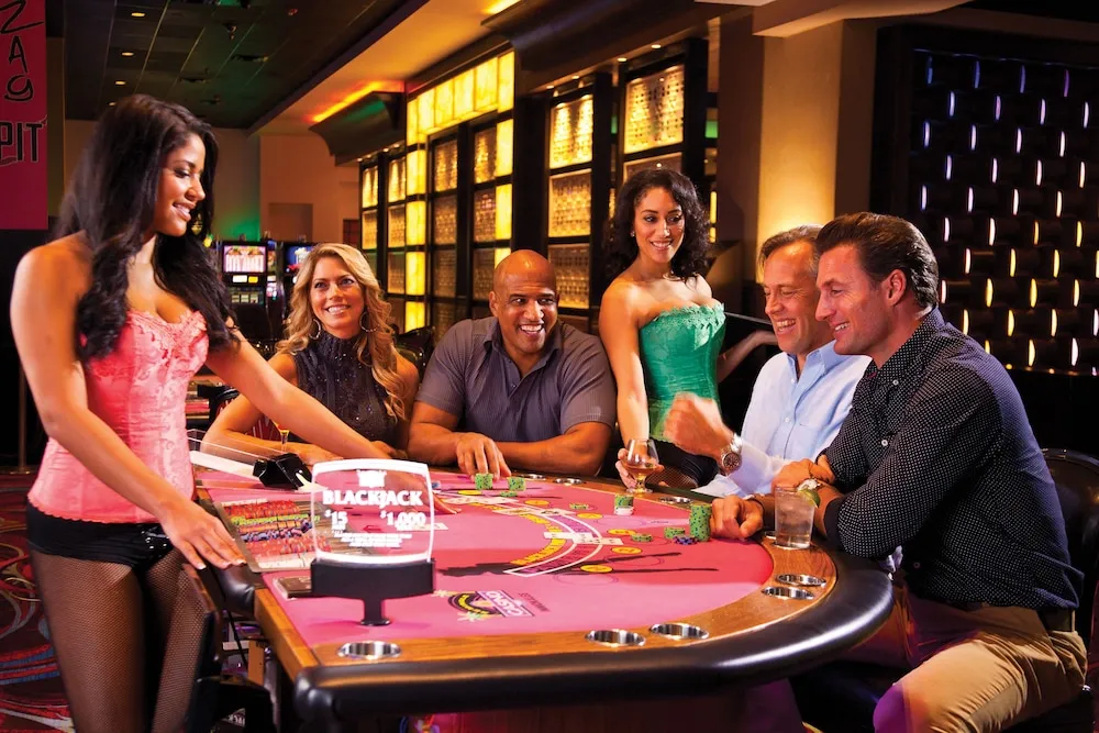 What are Instagram real money live casino Reels?