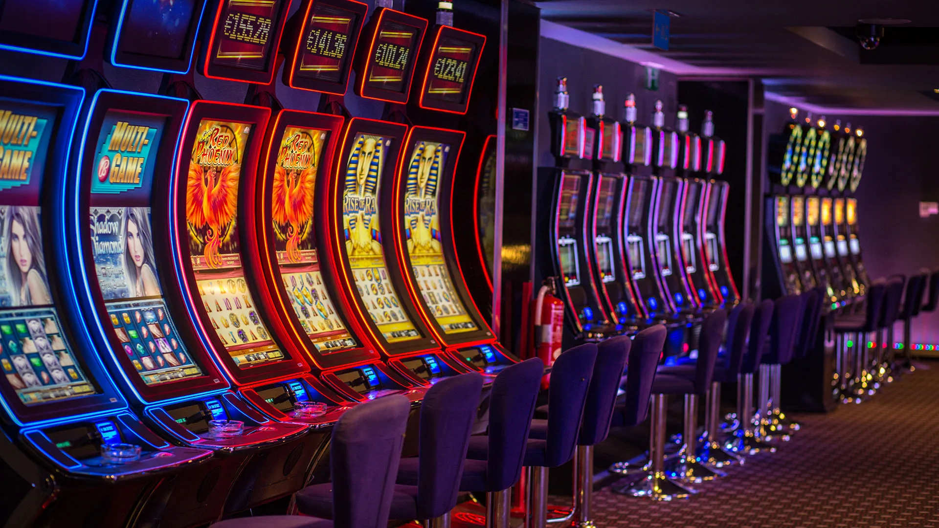 Finest Gambling enterprise 100 percent free Spins Incentive 2026: Allege 100 percent free Revolves pot o luck $1 deposit No deposit