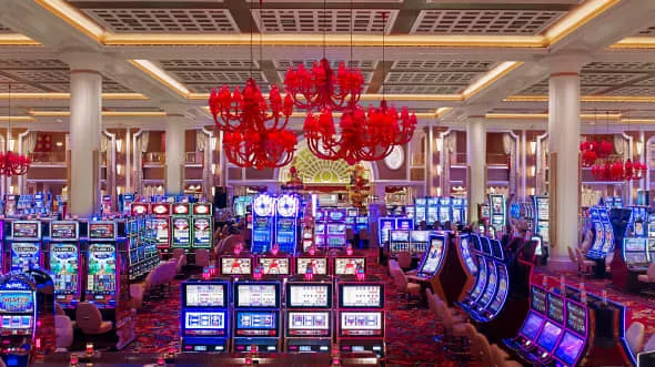 Crazy Gambling establishment No deposit Added bonus Requirements & Campaigns pokie kitty glitter 2026