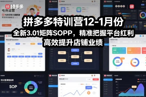 【精】拼多多特训营12-1月份,全新3.01矩阵Sop,精准把握平台红利,高效提升店铺业绩