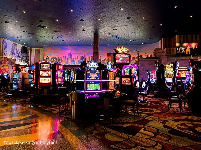#1 50 free spins on Sugar Trail no deposit Free online Public Gambling enterprise Feel